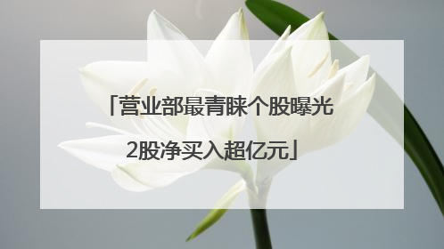 营业部最青睐个股曝光 2股净买入超亿元